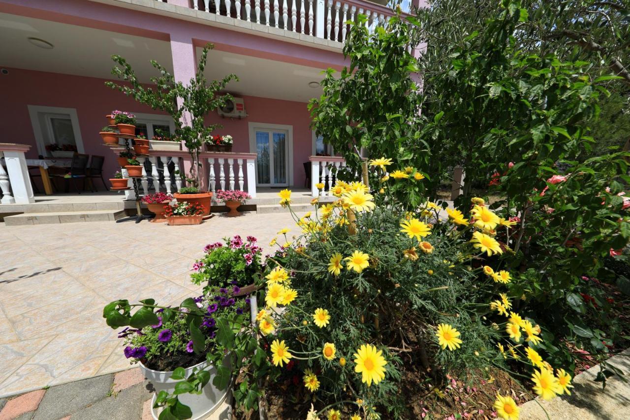 Villa Rajna 스타리그라드 파클레니차 외부 사진